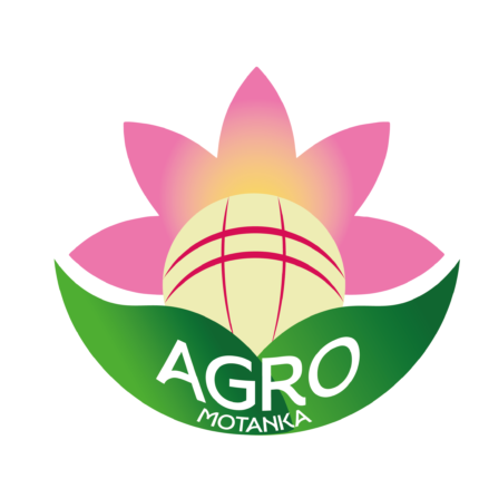 агро мотанка