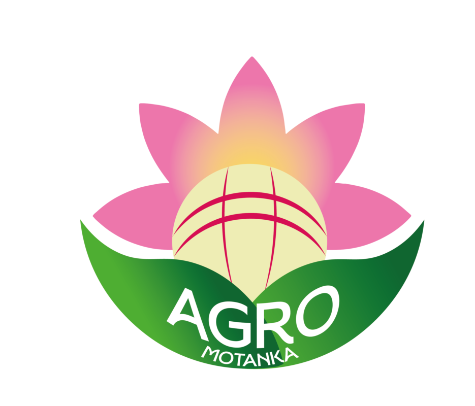 агро мотанка
